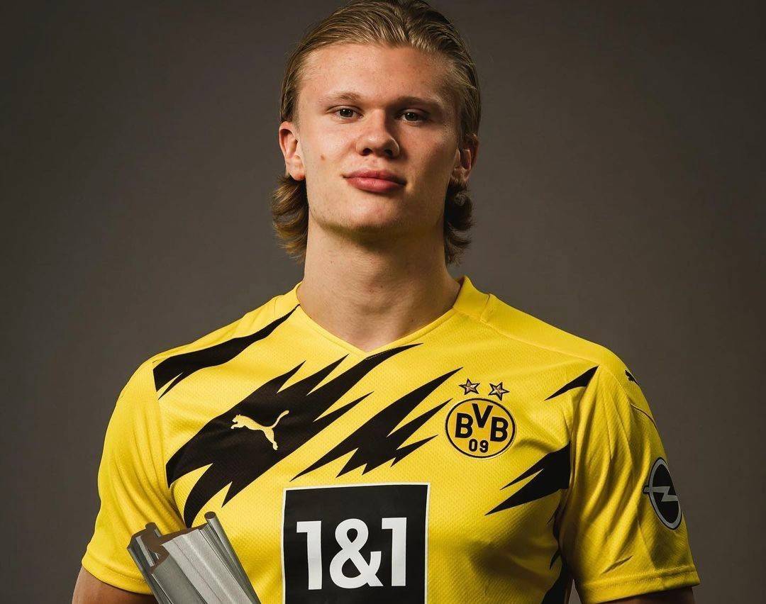 目标很明确 目标很明确